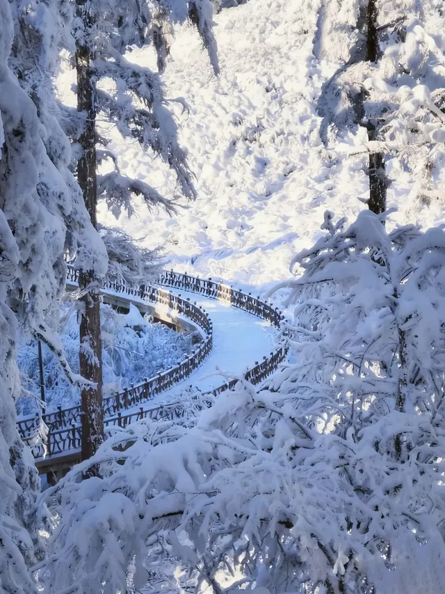 不去川西也能玩雪!部分無門票! 不去川西也能玩雪!部分無門票!