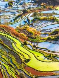 哀牢山元陽梯田徒步指南