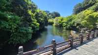 Beautiful Atmosphere and Scenic Waterfall Spot