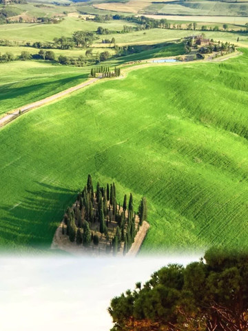 イタリア癒しの旅｜トスカーナの田園詩画 | Trip.com トスカーナ州