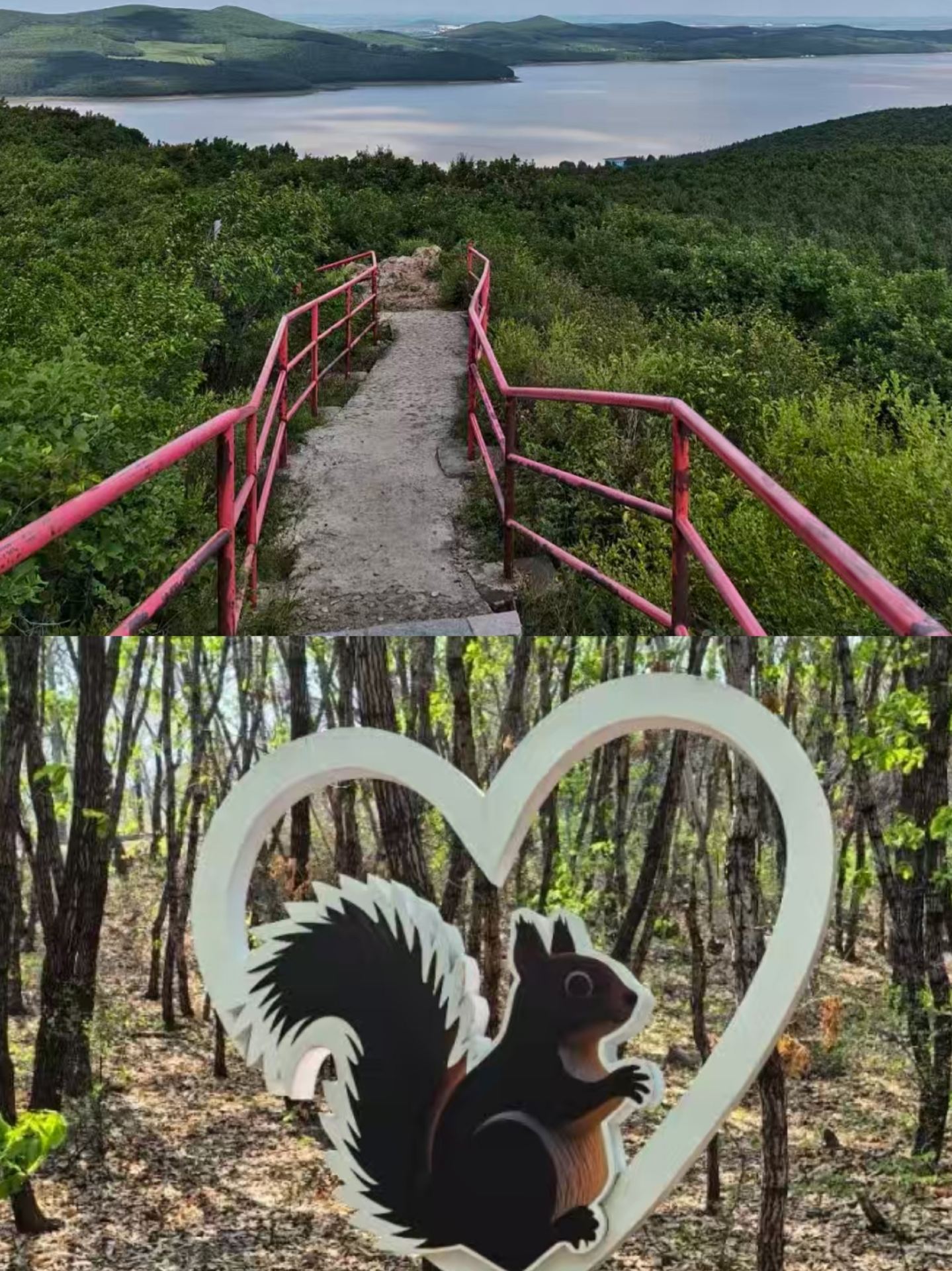 Baru Pulang dari Qitaihe, Jujur Harus Banget Cerita Ini..