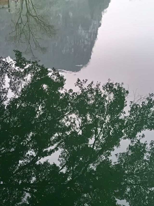 æĄæć±±æ°Žæ
éæ»ç„