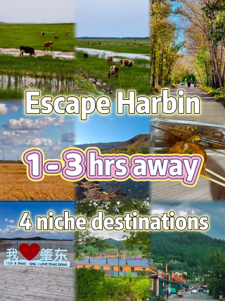 Escape Harbin | 1–3 hour drive! 4 hidden gems with beautiful scenery and fewer crowds