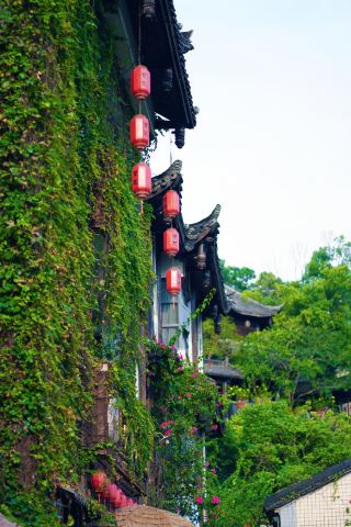 A hidden paradise in the heart of Shenzhen