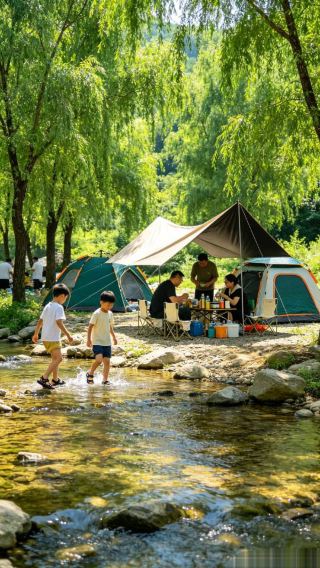 荊山天池｜雲の上の茶畑で過ごす22℃の夏秋の森林浴