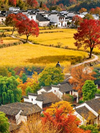 ナショナルジオグラフィックが嘘をつかなかった、徽州の秋の絶景