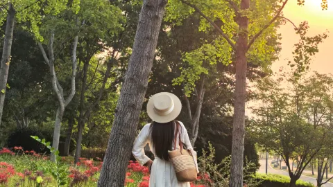 Jining Fenghuangtai Botanical Garden | Spider lily photo spot, catch the last of September's autumn red — traveler post in Jining