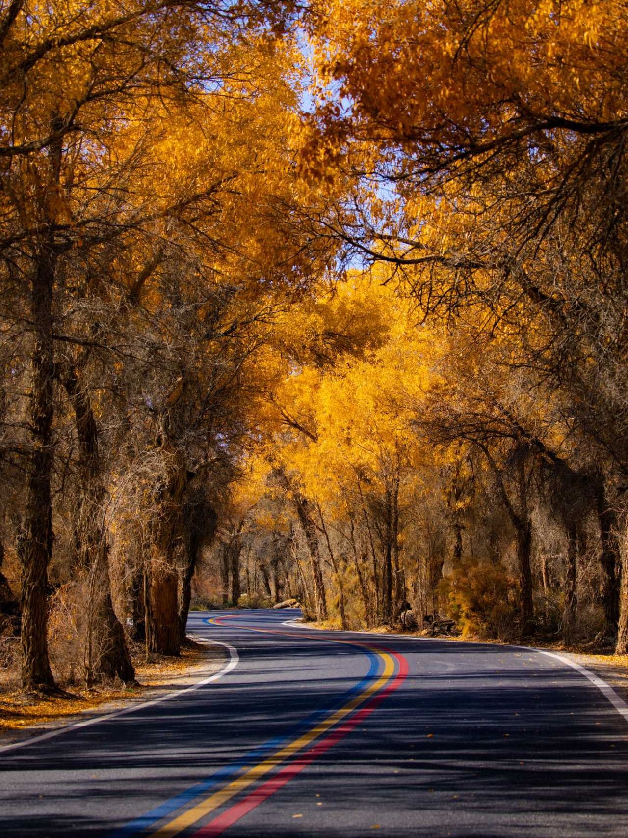 4-day autumn travel guide to Bayingolin with tips to avoid tourist traps