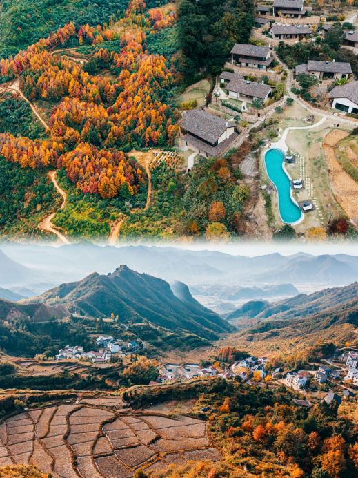 Jiangxi's hidden gem: A pet-friendly homestay | Take your pet to the mountains for a spring getaway