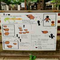 おとぎの国？野生動物を見た人間の感想がだいたい「美味しそう」