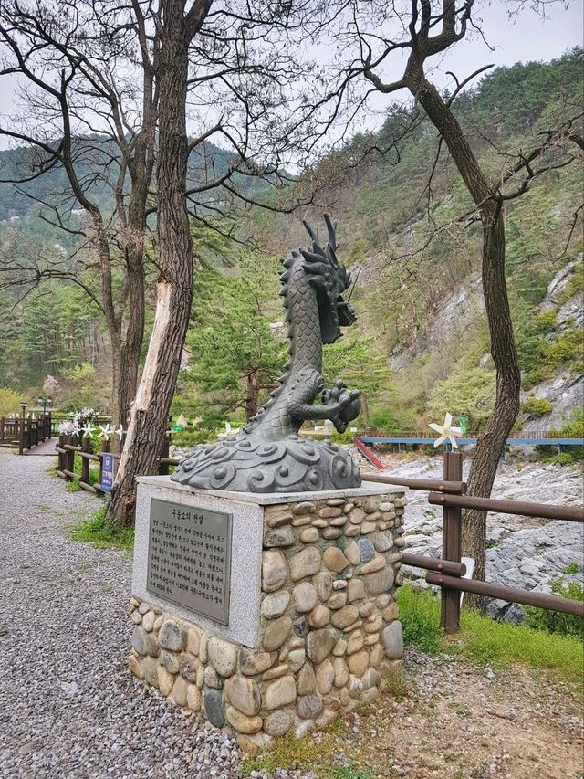 태백여행가면 들려보기 좋은곳❄️