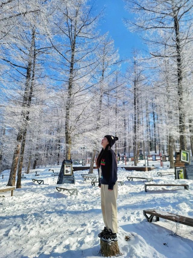 강원도 겨울여행은 여기! 정선 만항재❄️