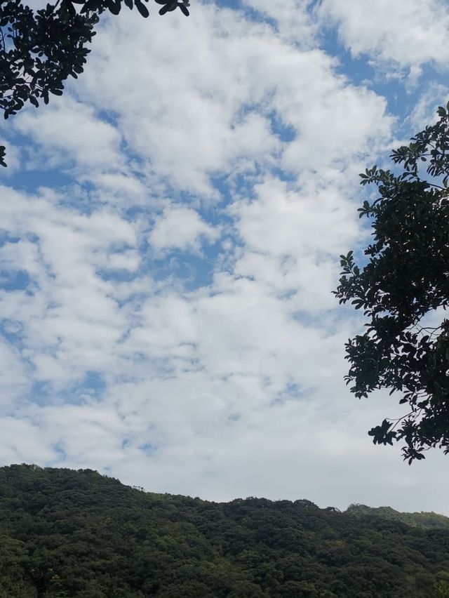 香港新手行山🍀茅坪藤皇+竹林隧道路線