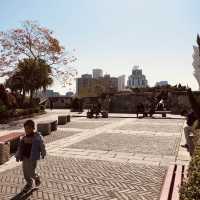 Monte Fort (Monte do Forte)