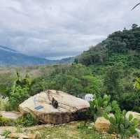 Copter 360 Cafe & Resort 