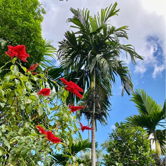National Orchid Garden - Singapore