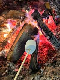 서울에서 한시간! 양주 캠핑장 삼상리마켓⛺️🥩