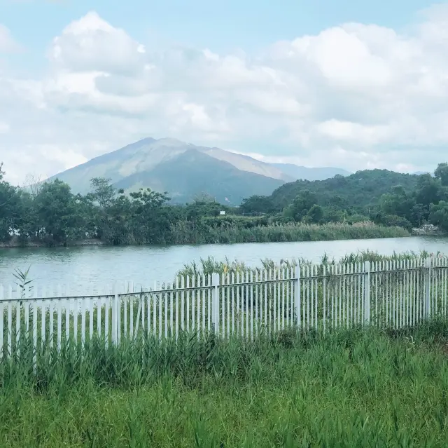 Relaxing walk in Wetland Park 