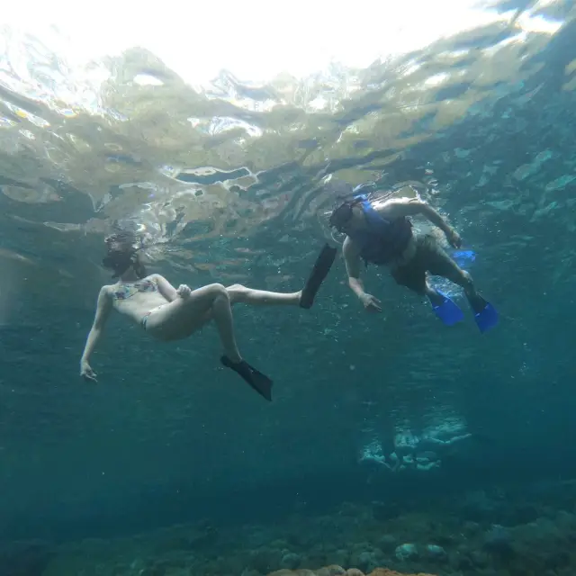 Snorkeling in Bali must