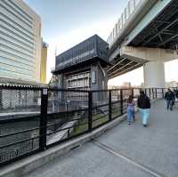 【東京】隅田川にかかる新しいルート！すみだリバーウォーク