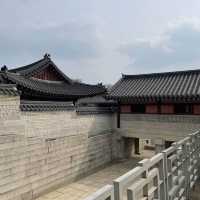 봄에 가면 좋은 창경궁 데이트