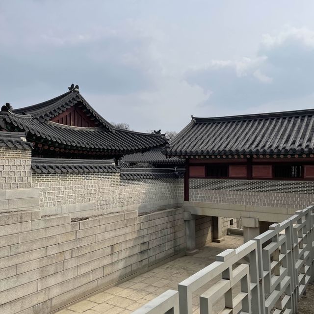 봄에 가면 좋은 창경궁 데이트