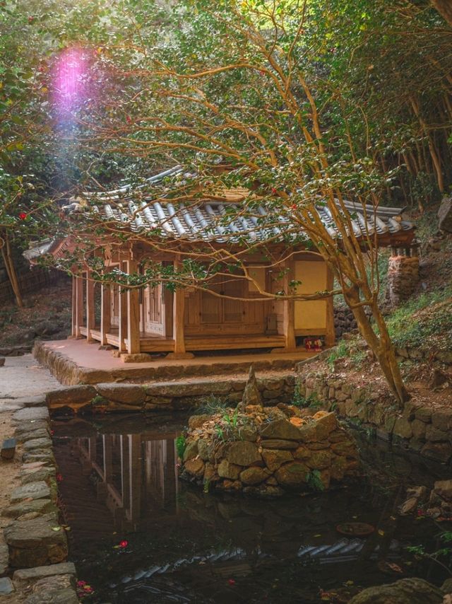 산책하기 좋은 "다산초당"