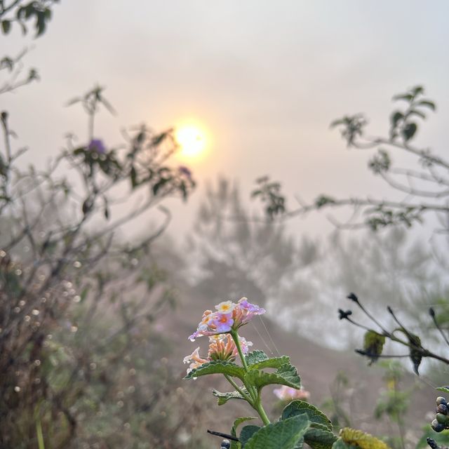 Sagada’s Twin Hills: Try to Catch the Sunrise