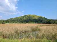 【東北純樸之地~鹿頸🏞️】