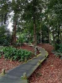 Forest Research Institute Malaysia KL🌲🍃