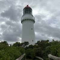 Majestic Beauty: Cape Schanck Lighthouse