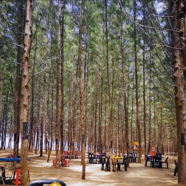 Pantai Senok