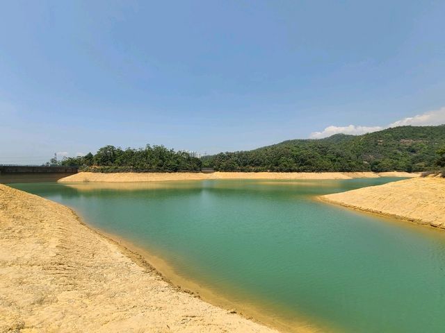 【水塘界四小龍~金山郊野公園🐒】