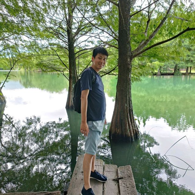 花蓮縱谷山水風光，巴士郵輪行
