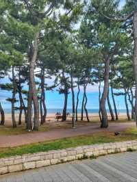 양양 여름여행 코스로 빠질수 없는 낙산비치🏖