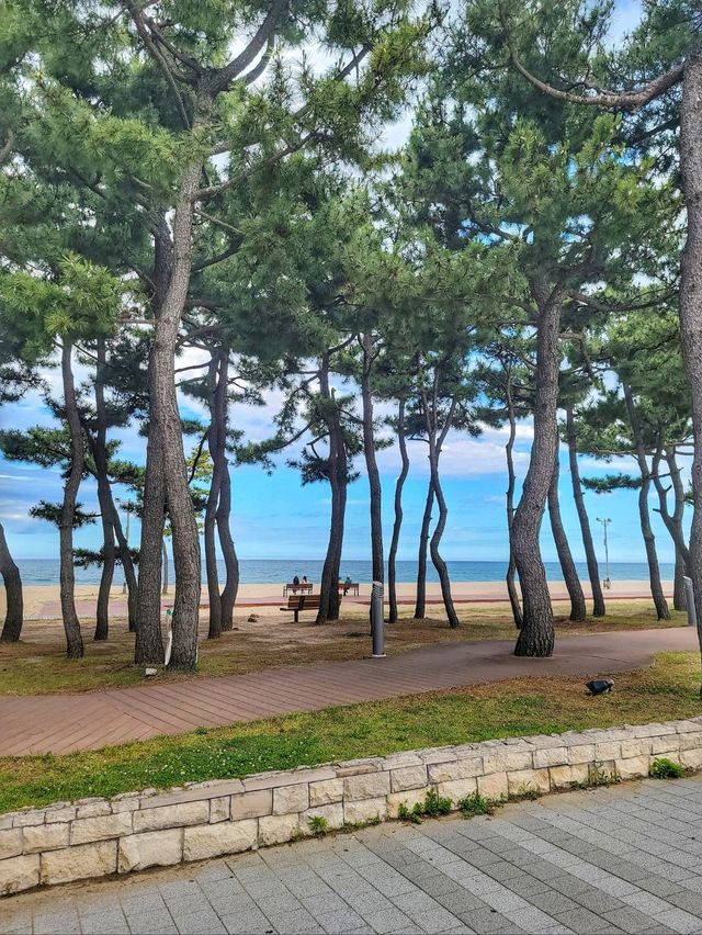 양양 여름여행 코스로 빠질수 없는 낙산비치🏖