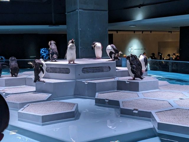 【札幌市内最大の水族館】夏休みにオススメ！ネイチャーアクアリウムも楽しめる水族館