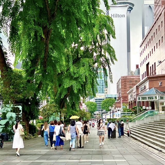 🇸🇬 烏節路 - 新加坡最經典的購物區 🛍️ 