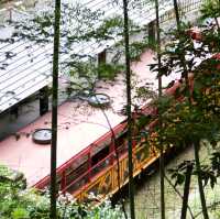 1 วัน แพลนเที่ยว Kyoto ย่านArashiyama และ Uji