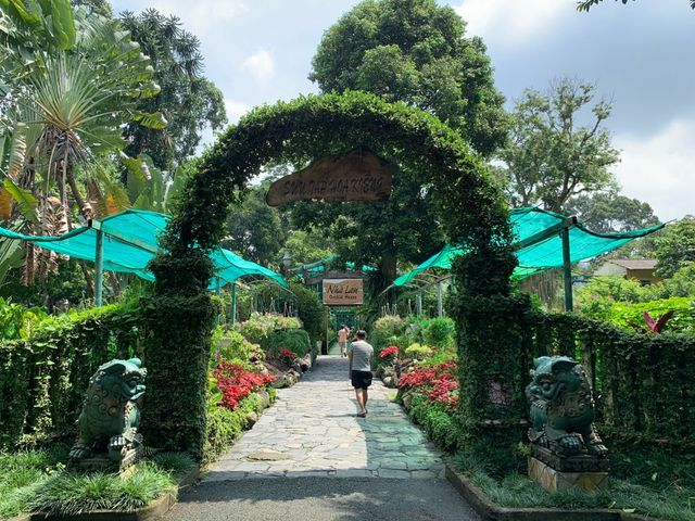 ベトナム　ベトナム観光　アジア最古のサイゴン動植物園で幻のトラを見てきた！