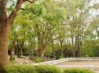 Negishi Forest Park