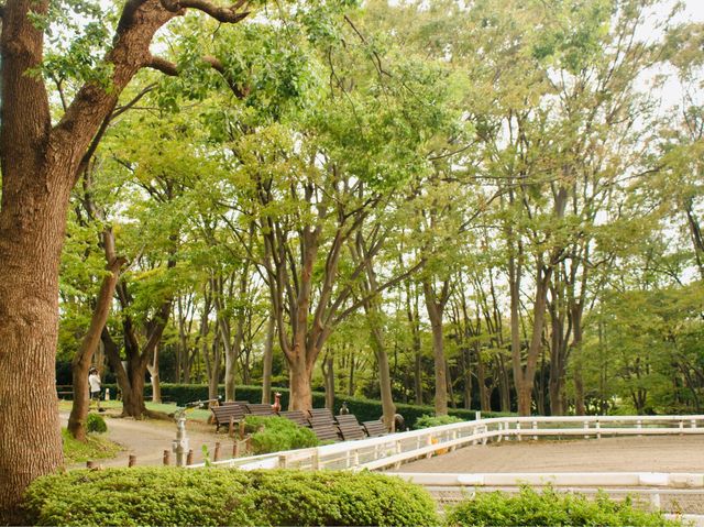 Negishi Forest Park