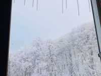 日本東北超夢幻小屋-三五郎小屋