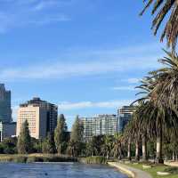 พาเดินเล่นที่ Albert park🇦🇺🔅