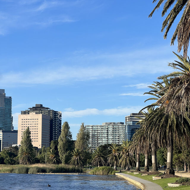 พาเดินเล่นที่ Albert park🇦🇺🔅