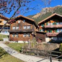 Wengen Wonders: Autumn Strolls, Friendships