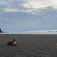 ชายหาดเงียบสงบ