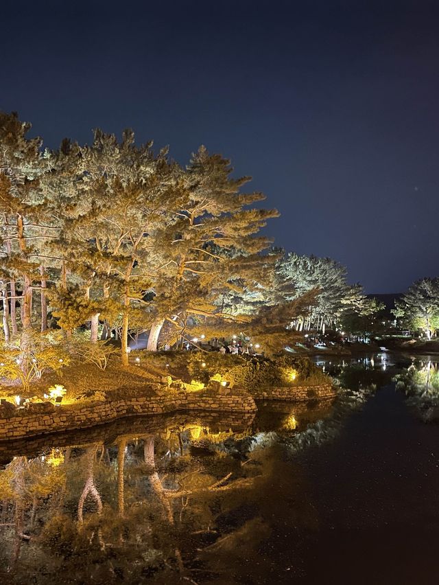 경주 동궁과 월지 야경명소♥ 