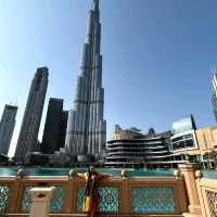 Diversed Activities at the Dubai Mall