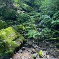 【千条の滝】マイナスイオン【箱根大涌谷】